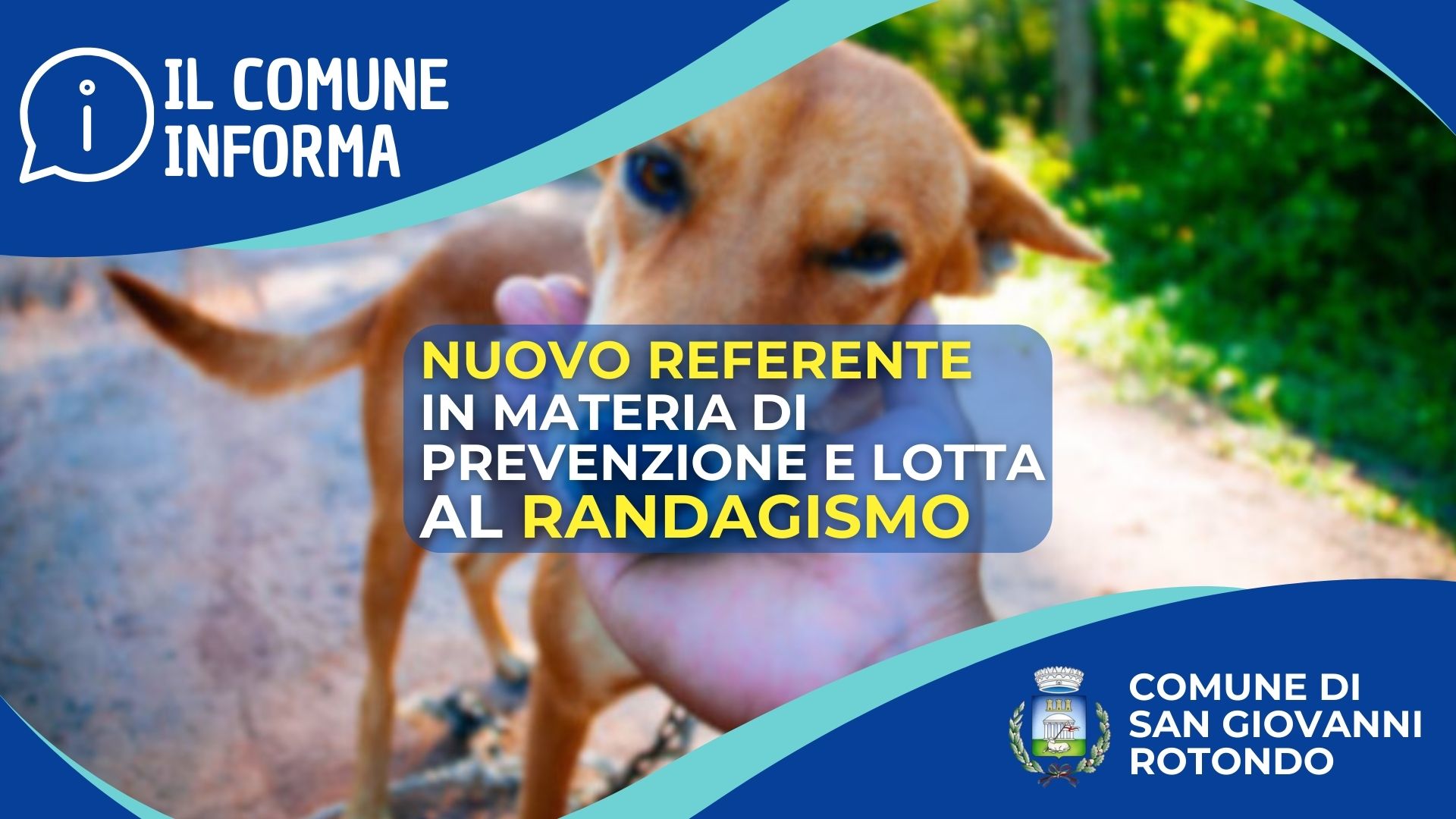 Nuovo referente comunale in materia di prevenzione e lotta al randagismo