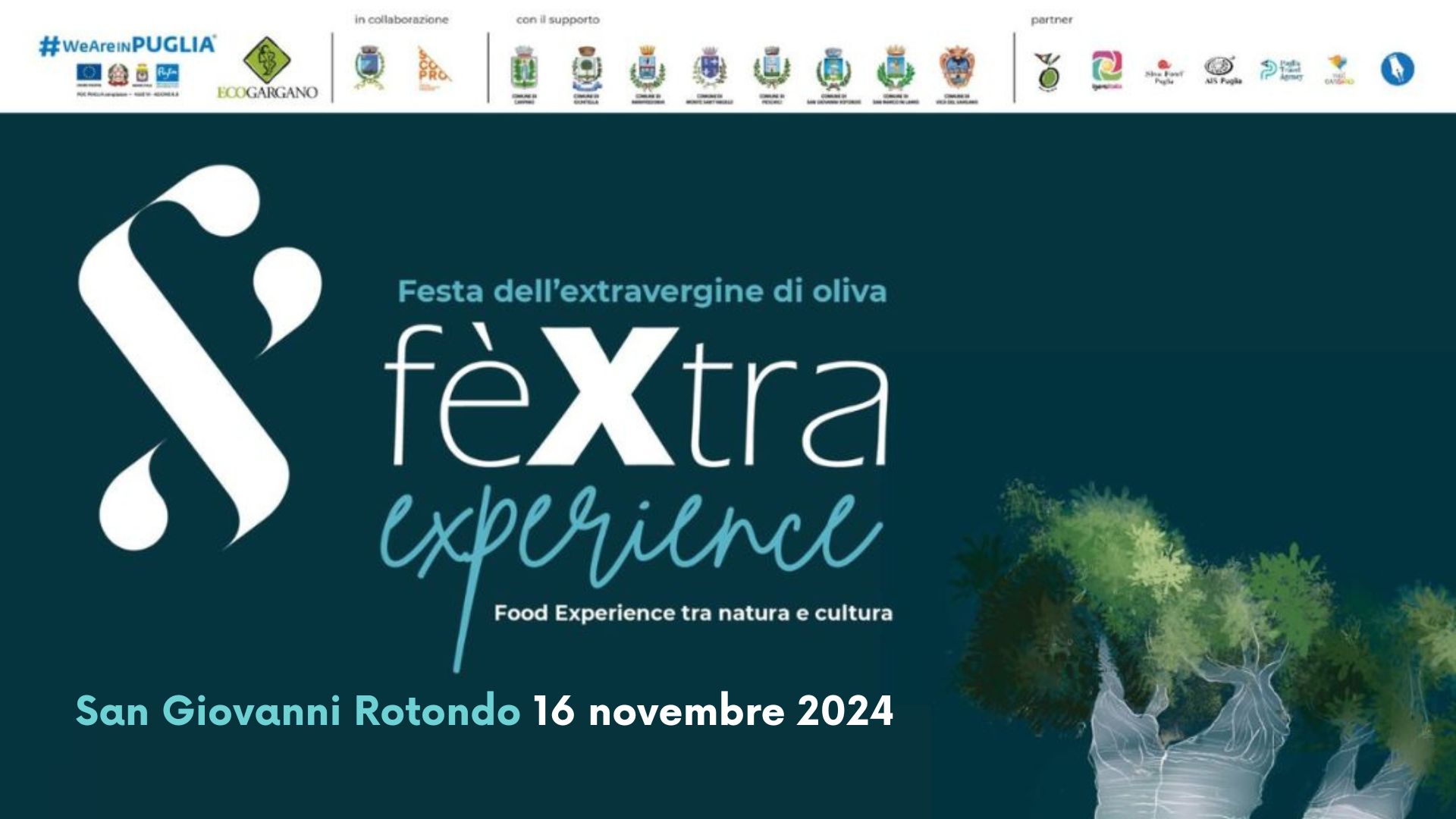 A San Giovanni Rotondo “FèXtra Experience”  la festa dell’extravergine di oliva. “San Giovanni Rotondo verso la carta dell’olio” 